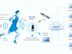 wearables IOT